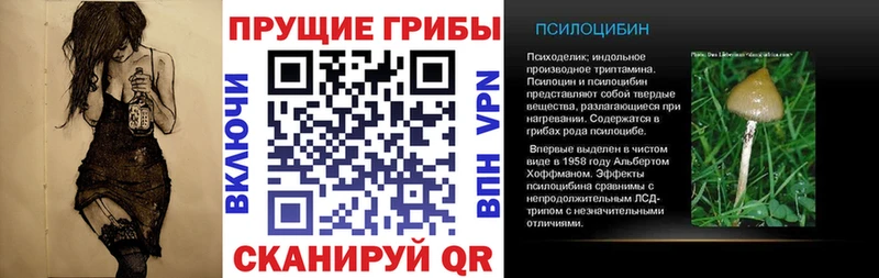 Псилоцибиновые грибы мицелий  Ревда 